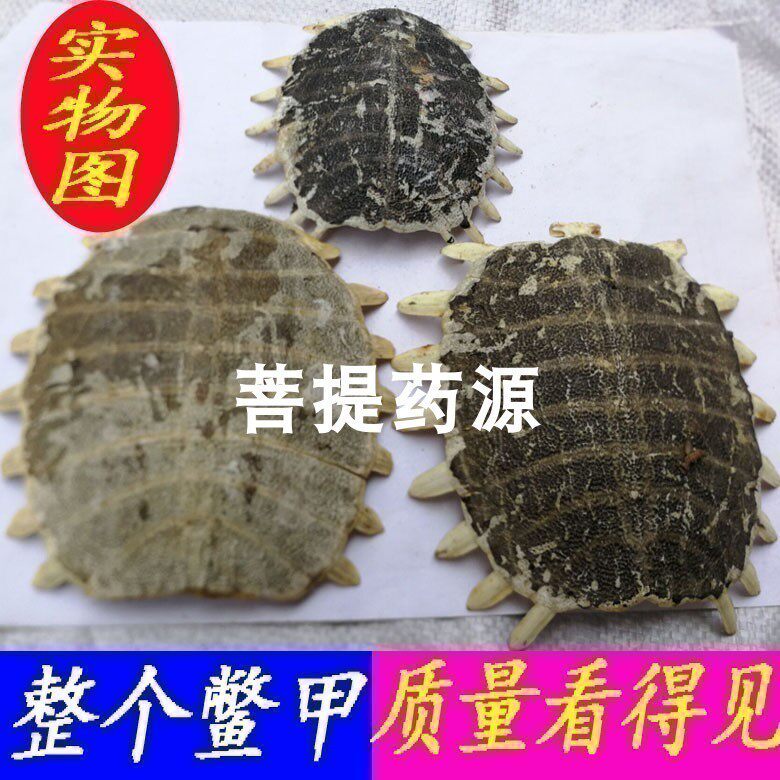 中药材生鳖甲500克 整个鳖甲壳鳖壳鳖盖子水鱼王八壳 另售制鳖甲