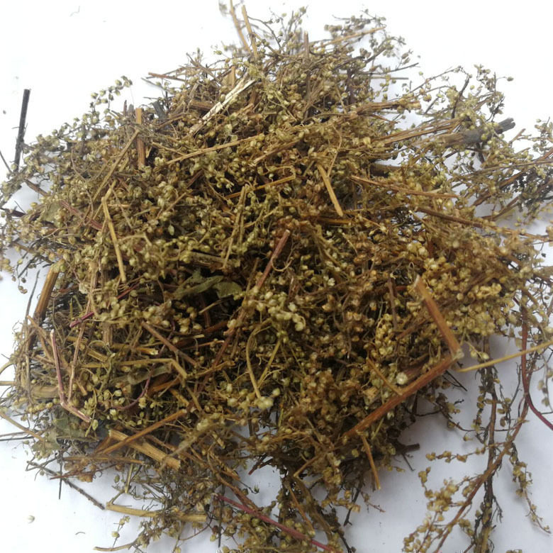 新鲜青蒿草干品中草药材 苦蒿 香蒿臭蒿黄蒿 黄花蒿500g 桐臭蒿子
