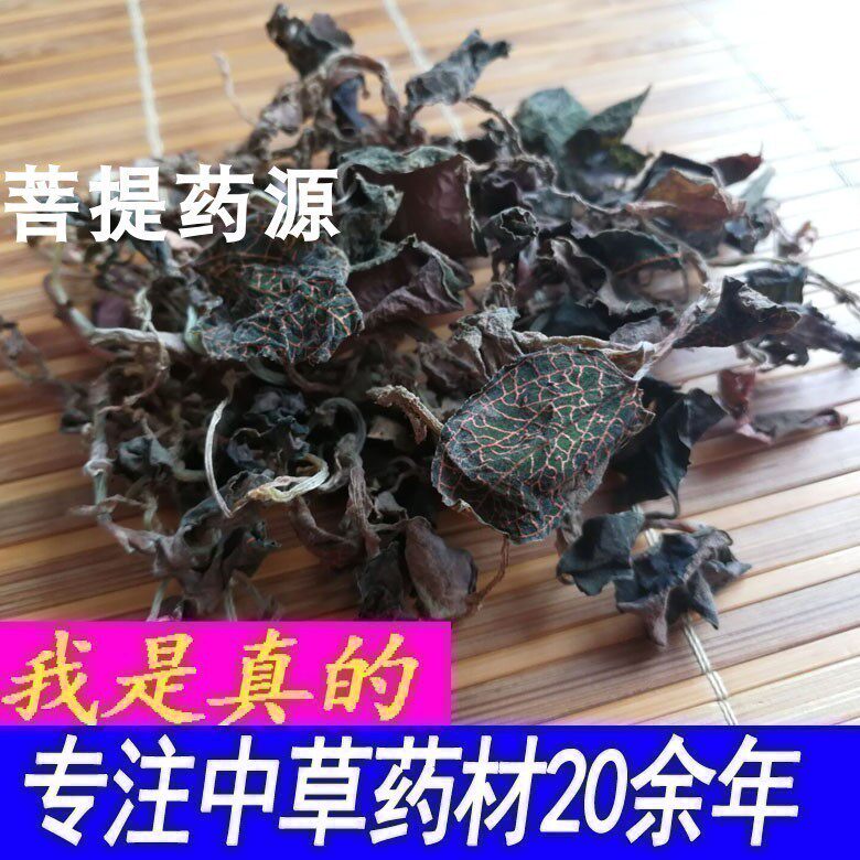 金线莲广西人参中药材