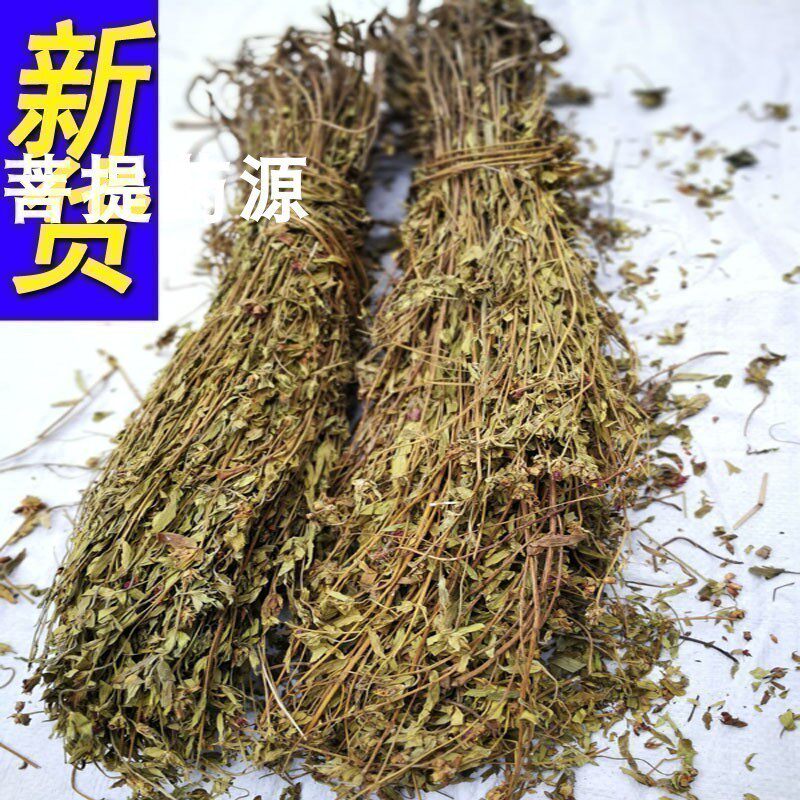 金香炉中草药大香炉药材天香炉新鲜货小金钟金石榴蜂窝草朝天罐粉