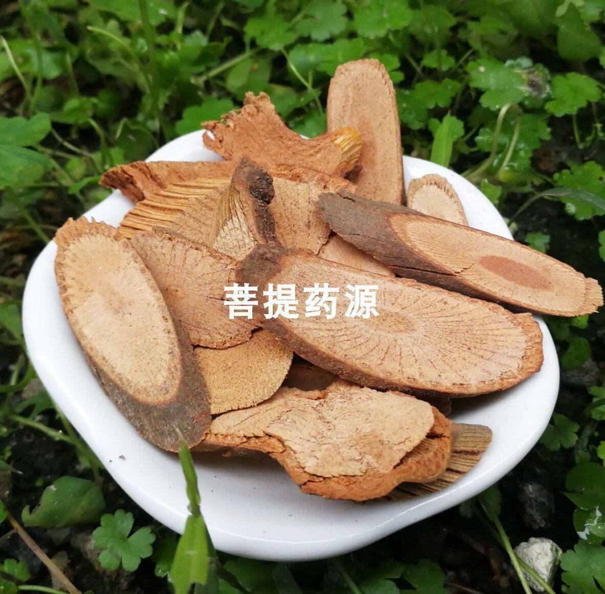中药材当归藤大力王500克g 虎尾草土当归米筛藤土丹桂 可磨粉