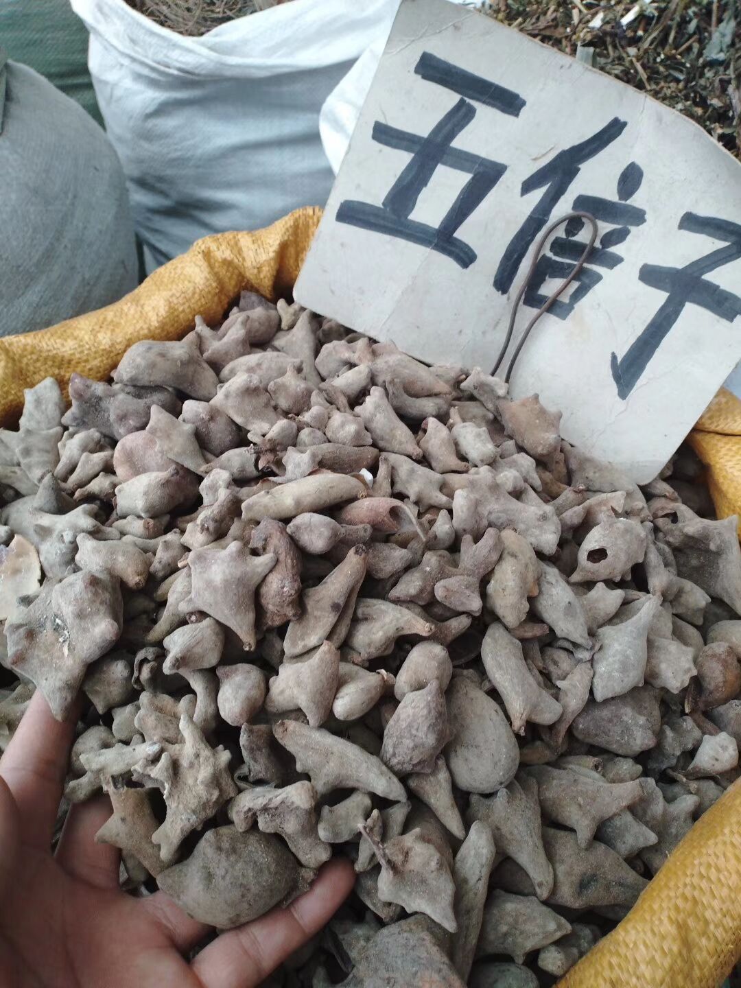 五倍子中药材 百药煎中药材角倍肚倍百虫仓五蓓子粉500g克包邮