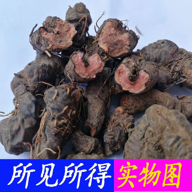 正宗草河车中草药紫参化骨莲新鲜干货虾参中药材拳参红蚤休倒根草
