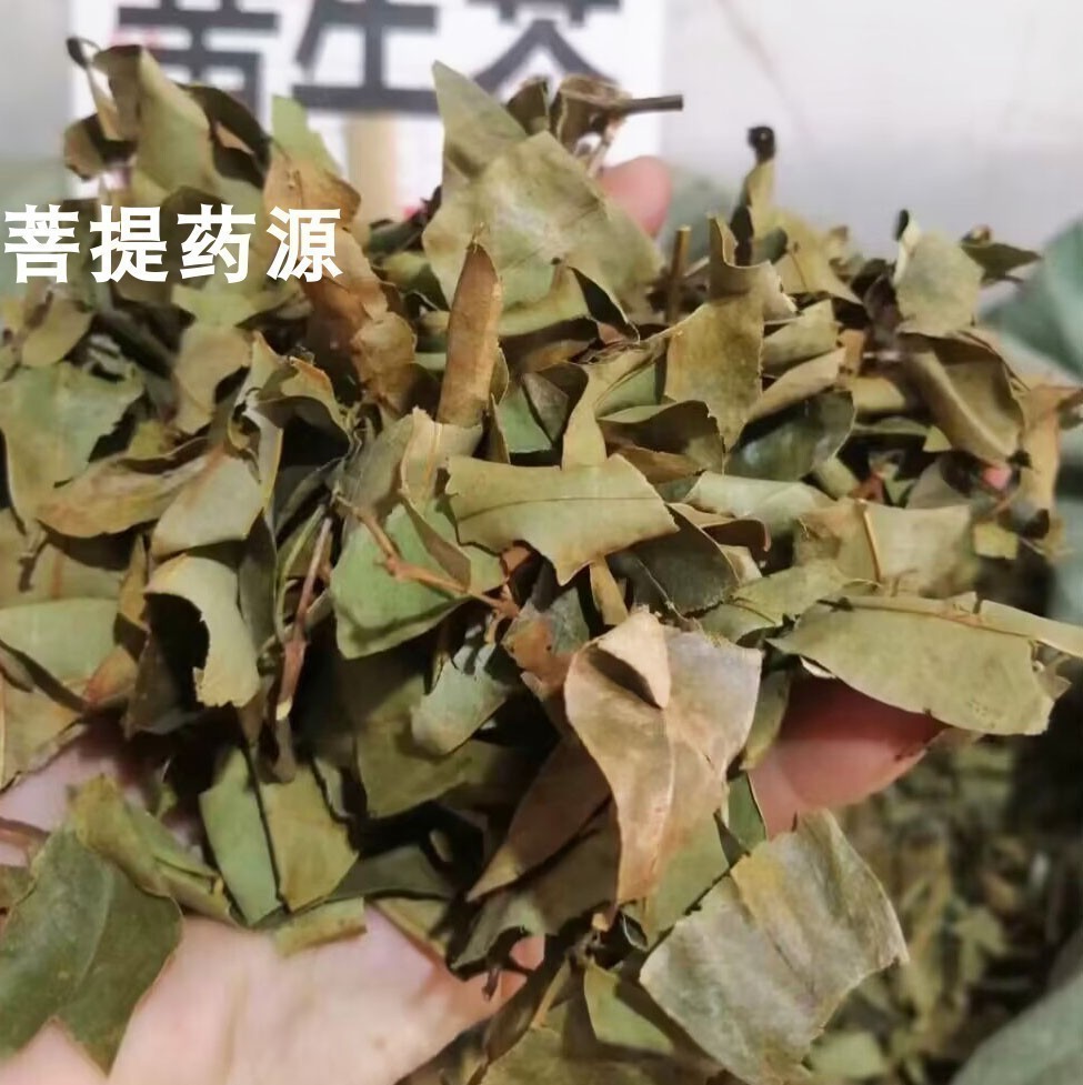 黄牛茶中药材黄牛木叶中草药九芽木 广西黄芽木满天红雀笼木500克