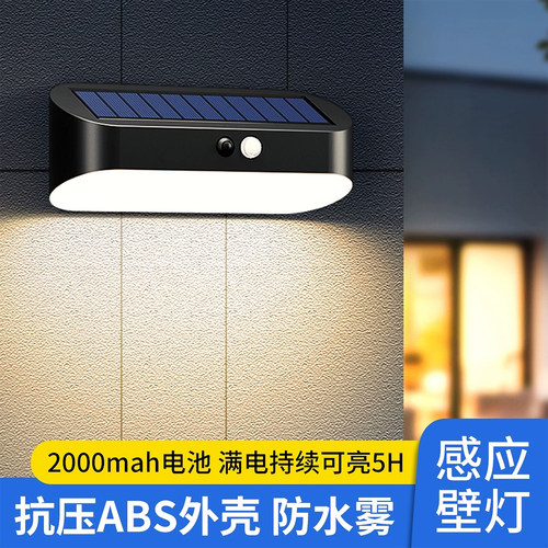 胜保罗人体感应户外壁灯