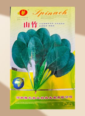 山竹菠菜种子 45天收获半圆叶蔬菜种子