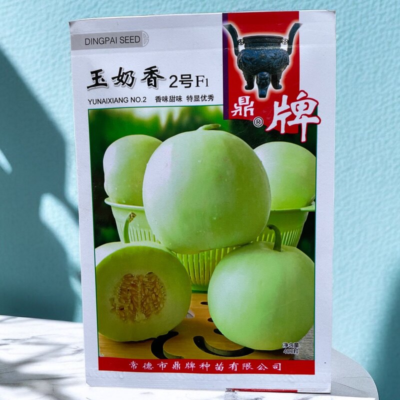 玉奶香甜瓜种子 早熟薄皮耐湿热香瓜种子香甜高糖蔬菜种子400粒