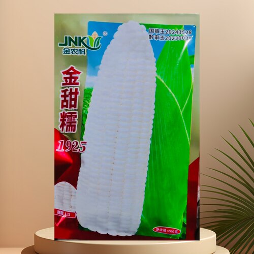 金甜糯1925甜糯玉米种子 软糯香甜皮薄无渣又甜又糯鲜食玉米种子