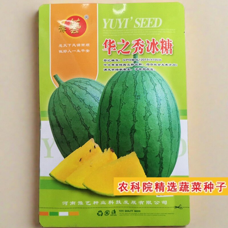华之秀冰糖黄瓤冰淇淋露地高产西瓜种子特甜耐裂高糖小果型礼品