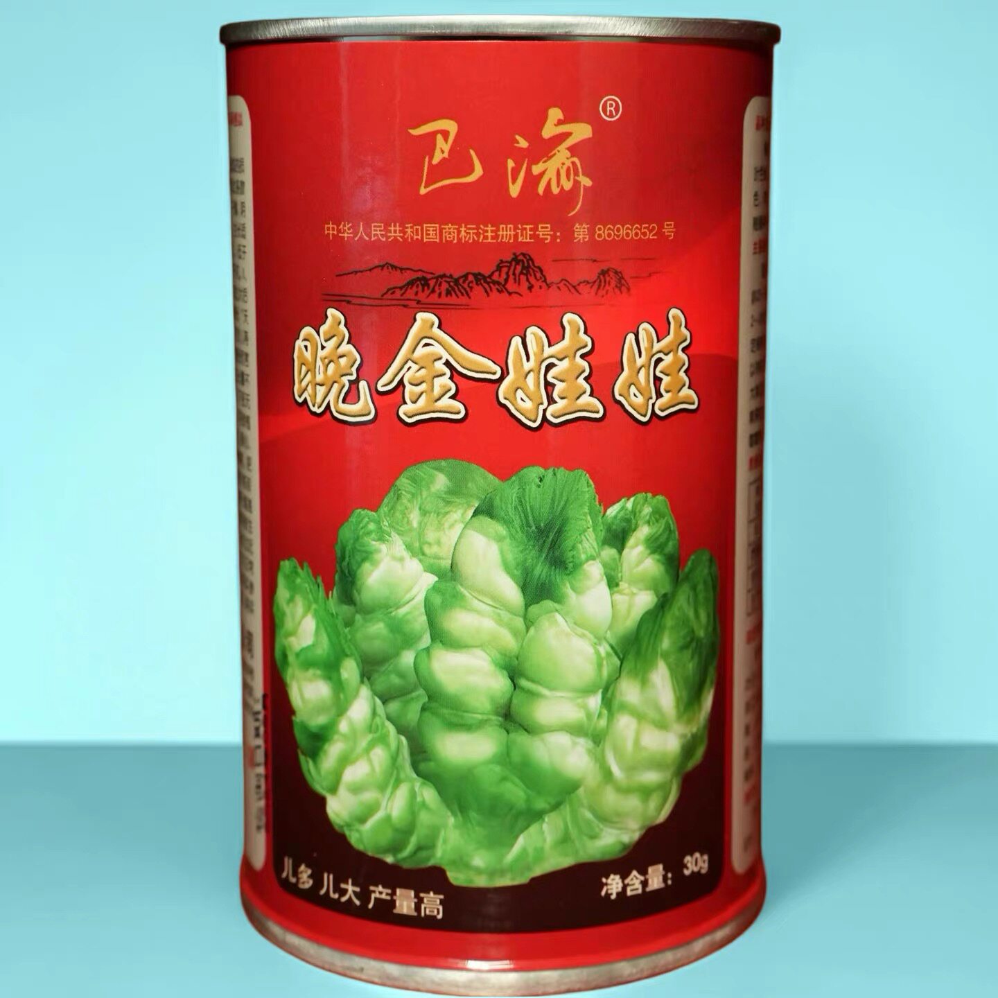 晚金娃娃儿菜种子秋季四川晚熟娃儿菜种子重庆娃娃菜芥菜儿菜种
