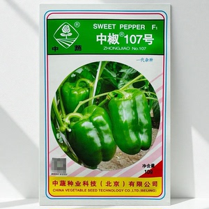 中椒107号甜椒种子 早熟保护地露地蔬菜籽 北京农科院种子中蔬10g