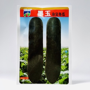 墨玉/黑皮大冬瓜种子 特大 高产蔬菜种子巨型冬瓜种子10g