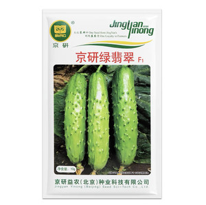 京研绿翡翠黄瓜种子中早熟强雌翠绿农科院旱黄瓜露地蔬菜种子10g