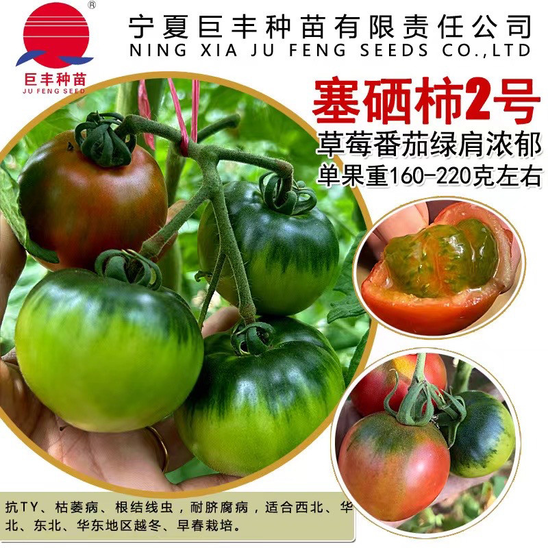塞硒柿2号草莓番种子籽 脆皮绿肩西红柿种子 生吃酸甜蔬菜种子