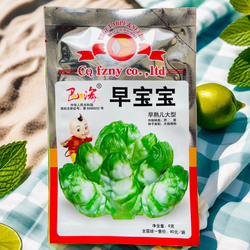 早宝宝娃娃菜儿菜高产超生背儿抱儿娃娃母子南充菜种子孑籽大田