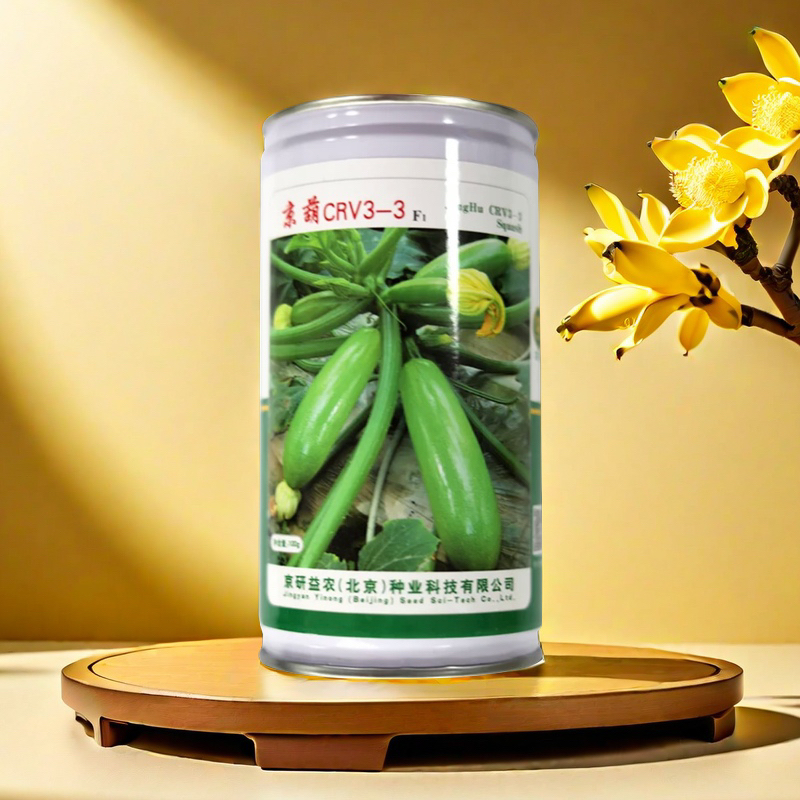 北京京葫CRV3-3西葫芦种子 春秋露地大棚抗性强高产蔬菜籽100g