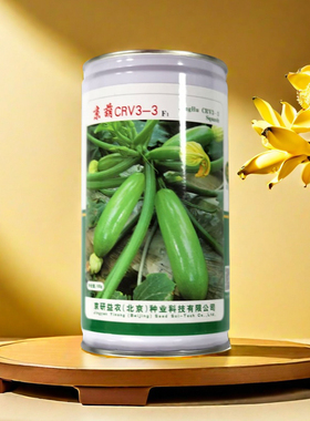 北京京葫CRV3-3西葫芦种子 春秋露地大棚抗性强高产蔬菜籽100g