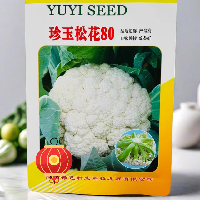 豫艺珍玉松花80松花菜菜种子青梗菜花散有机花菜种子口感脆甜