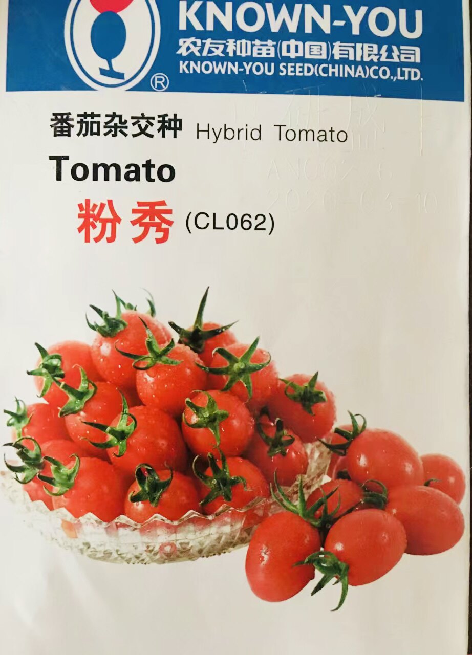 粉秀番茄海南正品台湾进口/红樱桃小番茄种子粉红色圣女果种子