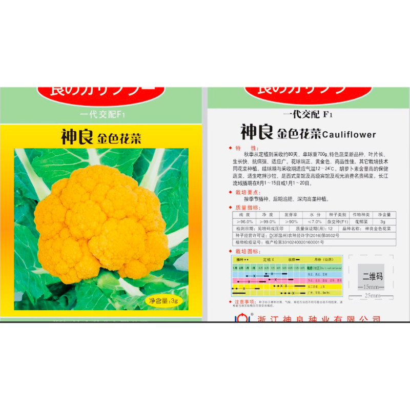 神良金色花菜/花椰菜种子早熟特种蔬菜种菜秋播黄色菜花种子