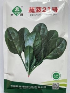 蔬菠21号农科院直立菠菜种子 生长快抗病高产蔬菜种子北京中蔬250