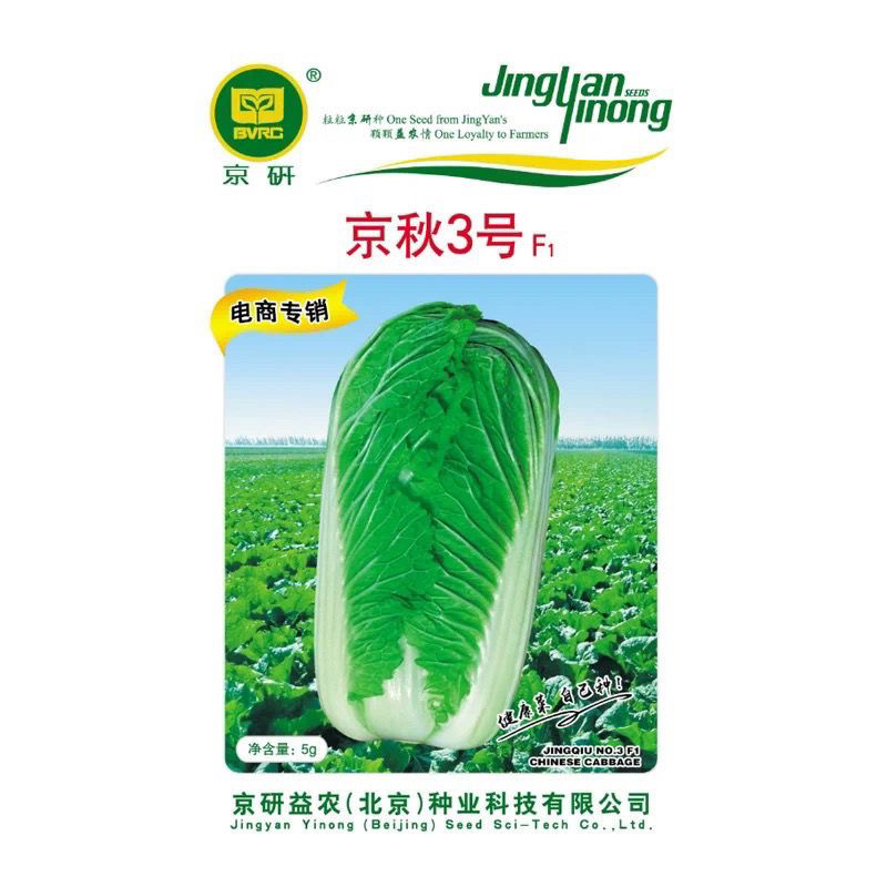 京秋3号 河北北京抗病秋播大白菜子 中早熟叶菜蔬菜种籽孑京研5g