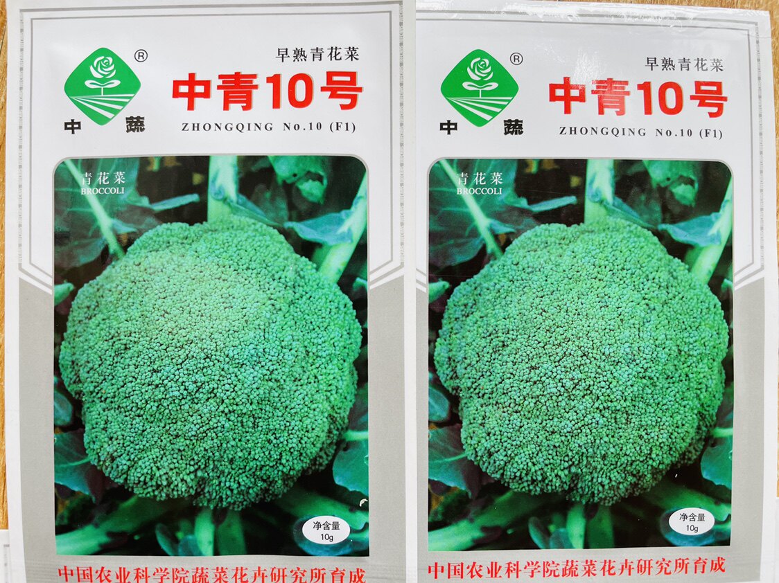 中青10号早熟花菜种子春秋播蔬菜籽高产青花菜北京农科院中疏10g