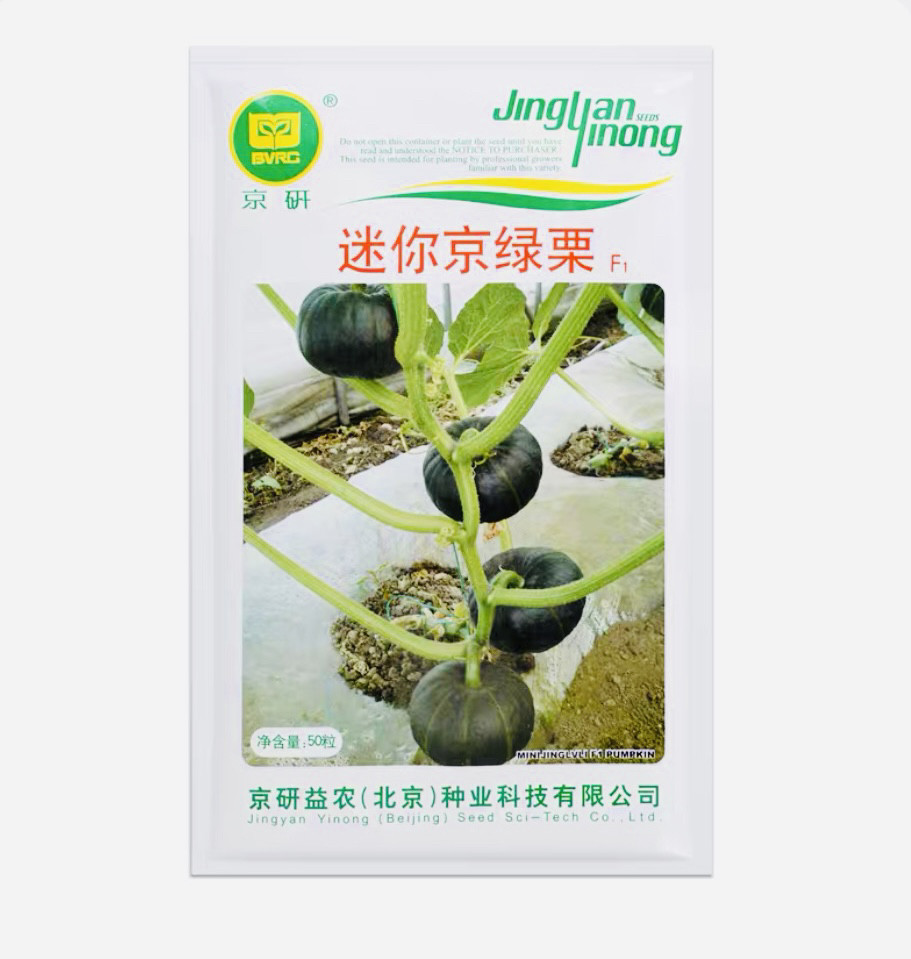 迷你京绿栗/京研 国家蔬菜工程技术研究中心礼品贝贝南瓜种子50粒