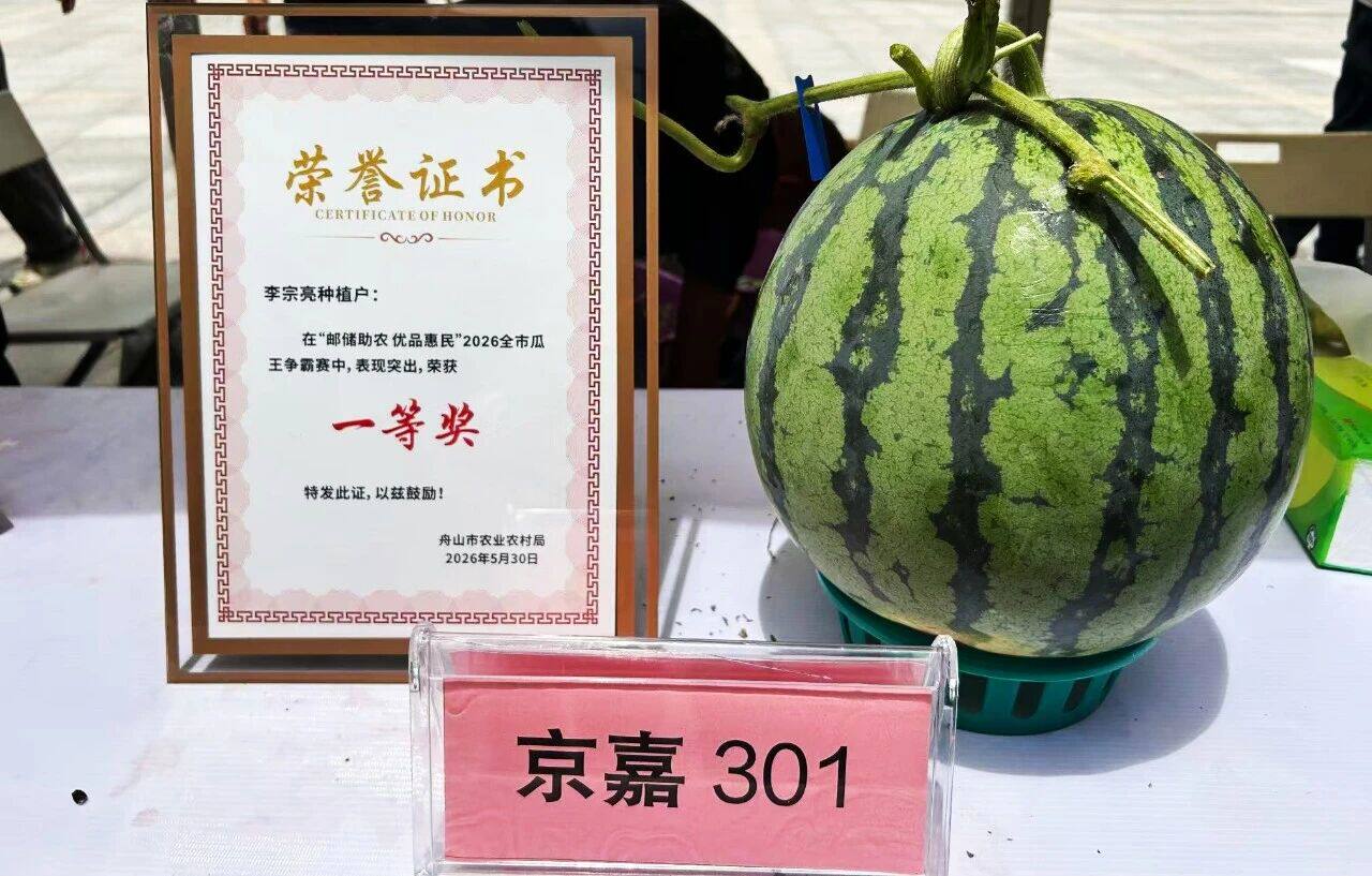 京嘉301西瓜种子 春秋早熟皮薄农科院西瓜种 耐运输蔬果种子京研