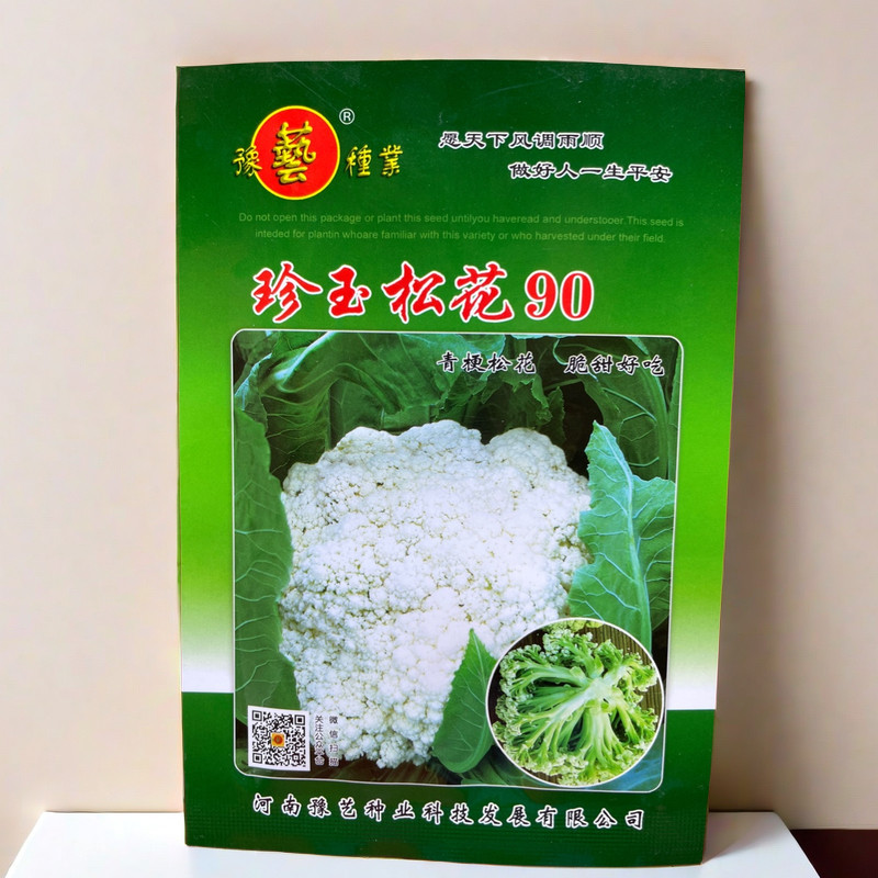 珍玉松花90 青梗有机松花菜种子中晚熟耐寒抗病松花菜散花菜种子