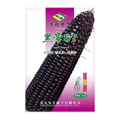 黑帝67 黑糯玉米种子 鲜食玉米黑轴黑籽粒新品蔬菜种子100g