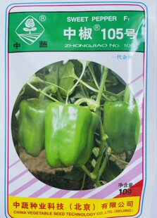 中椒105灯笼椒柿子甜王高产蔬菜大辣椒农科院种子中蔬10g