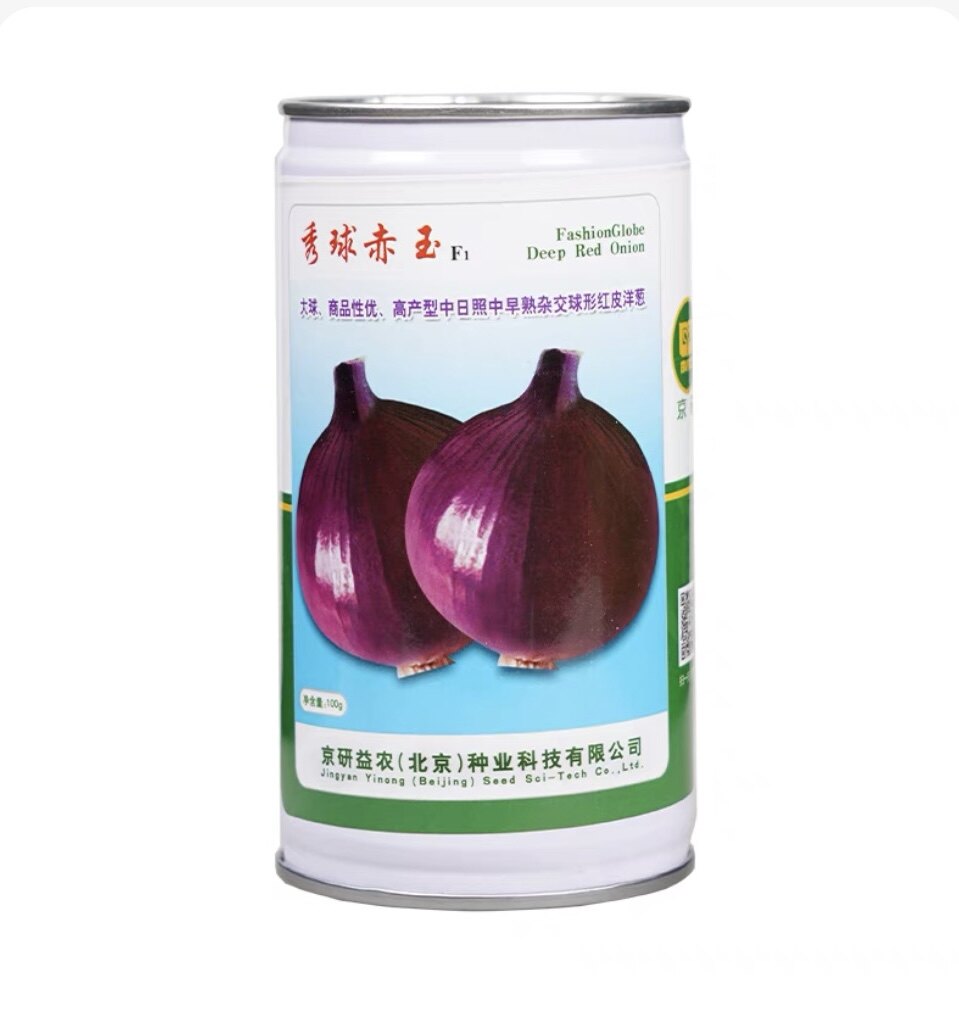 秀球赤玉洋葱种子 大球高产型 中熟杂交红皮洋葱种子农科院京研