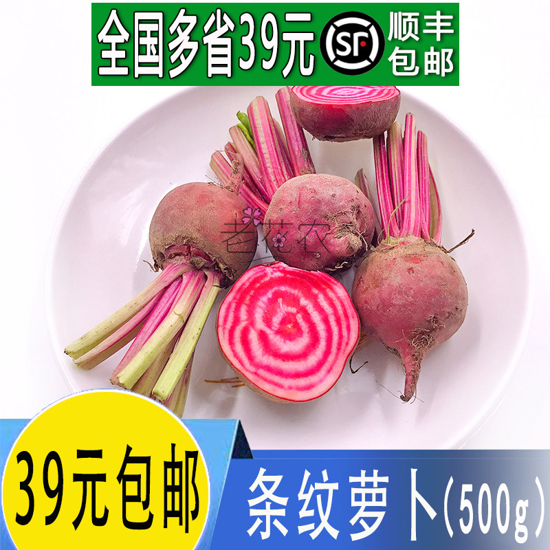 新鲜条纹菜头 条纹萝卜 螺旋纹菜头酒店西餐摆盘装饰