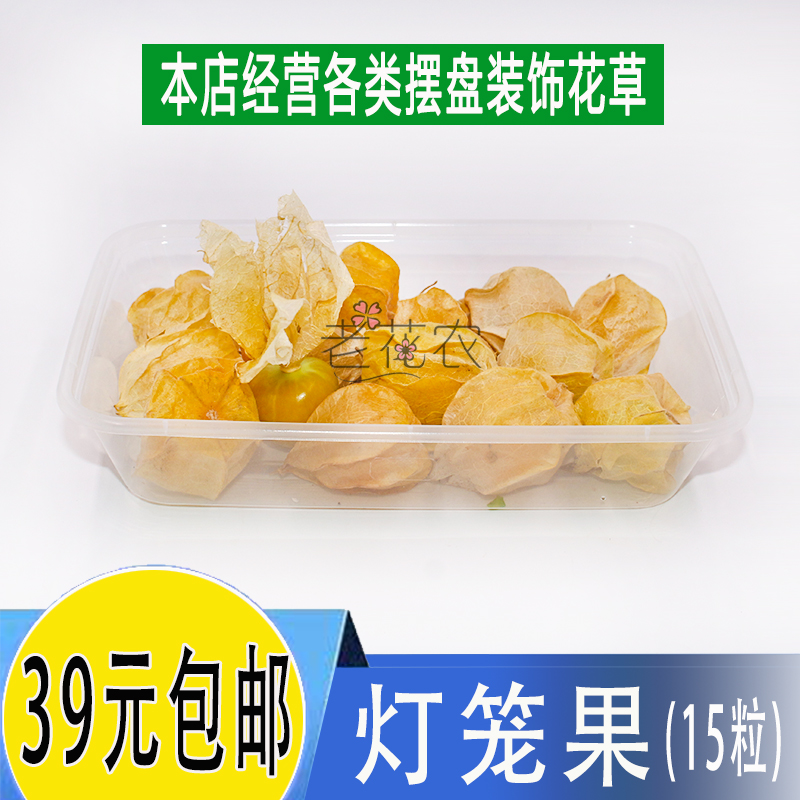 新鲜灯笼果 姑娘果  酒店冷艺摆盘鲜花 日料摆盘装饰点缀食用花草