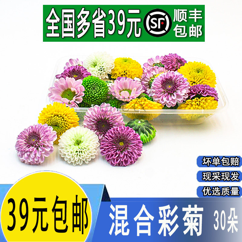 新鲜混合菊花30乒乓酒店西餐摆盘