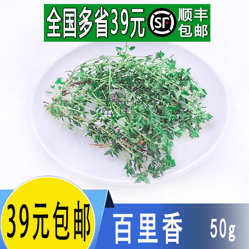 新鲜百里香 蔬菜百里香麝香草香料西餐厅装饰调料