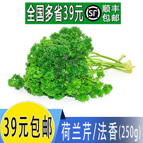 新鲜荷兰反西法香酒店摆盘装饰