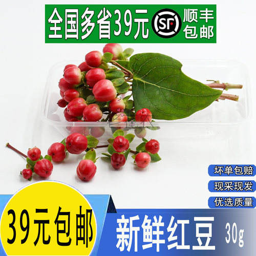 新鲜缤纷豆红豆粉豆酒店冷艺