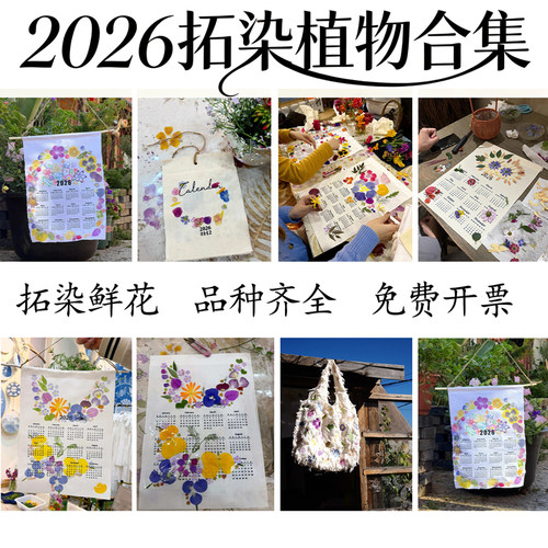 植物敲拓染鲜花材料多种颜色形状