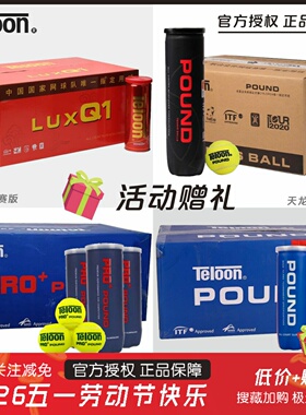 天龙网球P4P3胶罐比赛训练球Q1铁罐高弹耐磨专业POUND人气网球