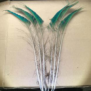 天然真孔雀毛翎尾毛剑毛 孔雀羽毛边毛 diy家居装饰品花瓶摆设
