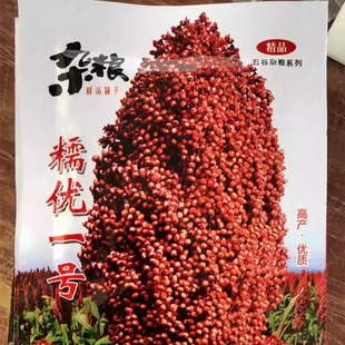 糯优1号 酿酒高粱种子春季高产 矮生高产高粱抗旱高产 酿酒高粱籽