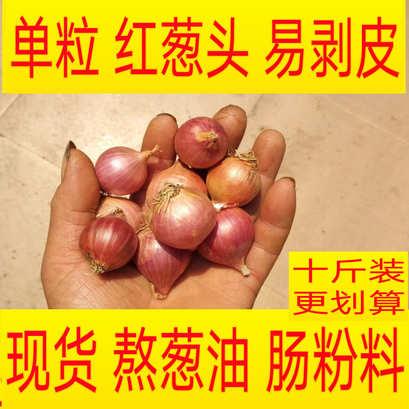 红葱头新鲜独头葱广东直发