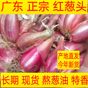 广东农家现货可种做肠粉汁 红葱头新鲜干葱头火小香葱子1斤10 包邮