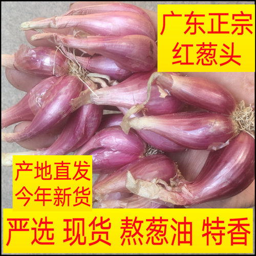 红葱头新鲜广东本地直发熬葱油