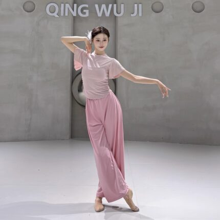 舞蹈上衣女款新款短袖芭蕾形体训练服现代舞练功服夏天古典舞服装