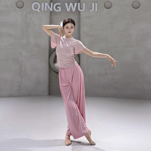 舞蹈上衣女款新款短袖芭蕾形体训练服现代舞练功服夏天古典舞服装