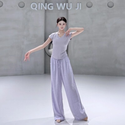 现代舞上衣古典舞练功服夏季中国舞服装女款新款立领时尚舞蹈衣服