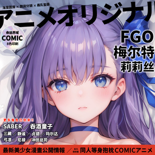 命运界域FGO原创FATE梅尔特莉莉丝等身抱枕动漫二次元周边长抱枕